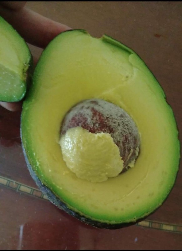 Hass Avocado from Colombia